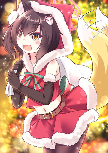 103901216(193027) サンタイズナ.jpg