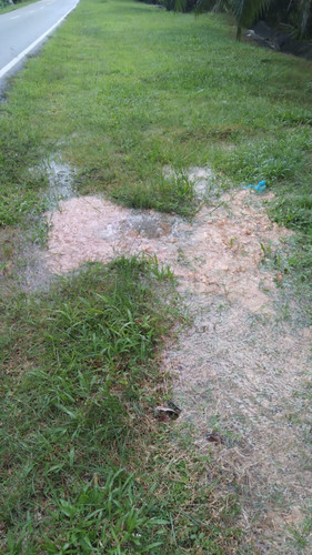 WhatsApp Image 2023 12 28 at 10.35.44 AM.jpg