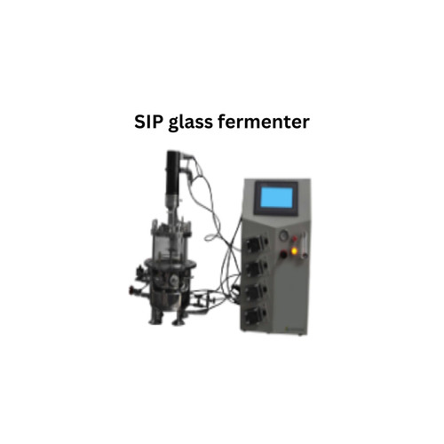 SIP glass fermenter.jpg