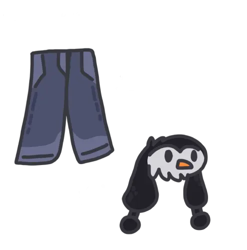 winter wear.webp