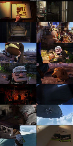 Up.2009.BluRay.480p.[Hindi.English].ESub.jpg