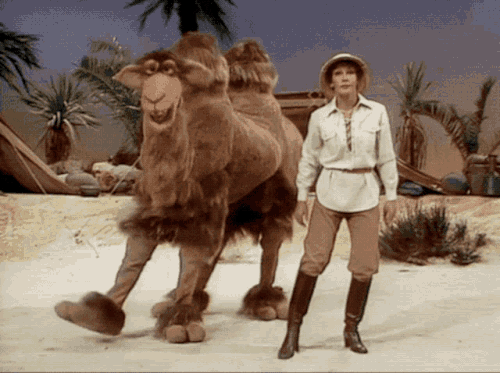 muppets muppet show.gif