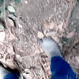 生物手雷.gif