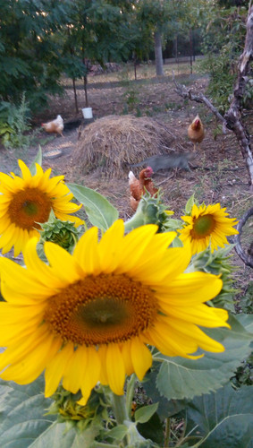 IMG 20200922 183819.jpg