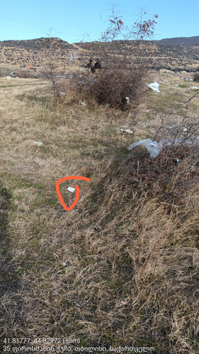 41.81777, 44.82972 29122023 152451 edit 65243160982272.jpg