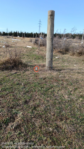 41.81693, 44.82891 29122023 153302 edit 65702152465761.jpg