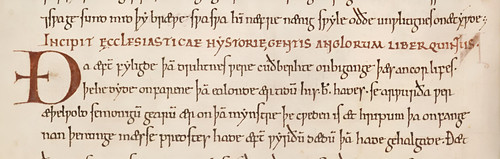 1f364d1b f8df 4aad b2fc 1b6d5eb05d72.jpg