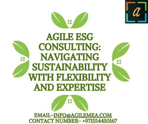 ESG Consulting.png