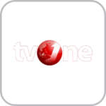 tv1.png