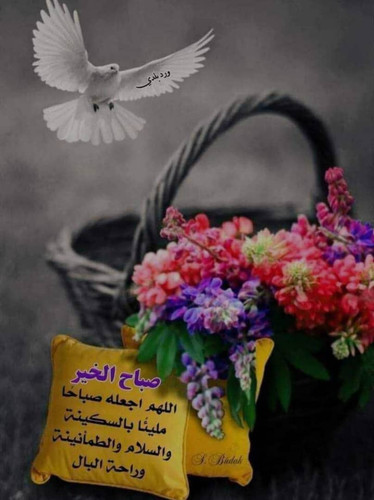 images%2Fimage 1703688354737.jpg