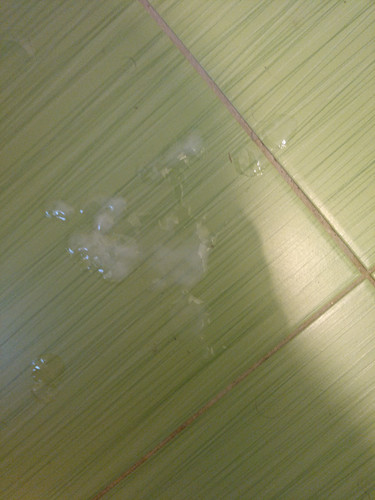 IMG 20231227 154650 790.jpg