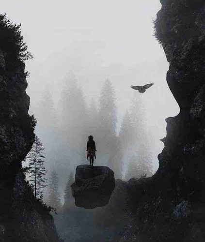 D3E78673 0EA6 4781 9732 F3F35868F130.jpg