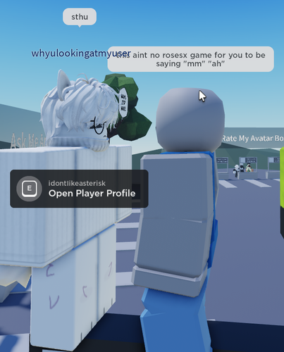 RobloxPlayerBeta dsBgrmuyti.png