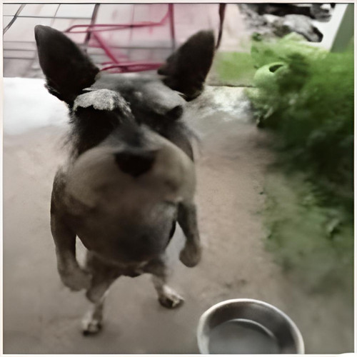 image.jpg