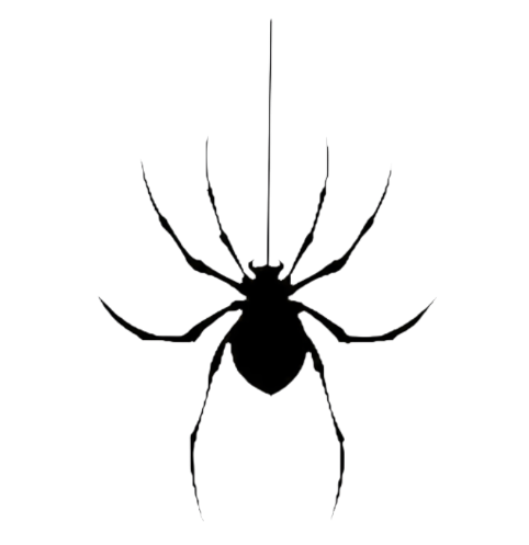 1703910422011 Standard.png