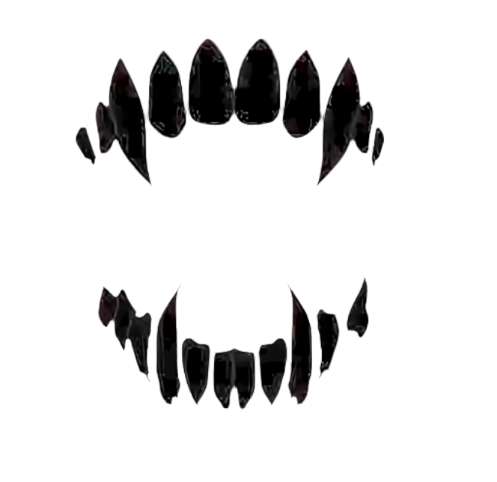 1703911675895 Standard.png