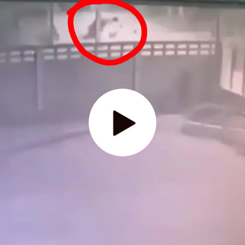 Picsart 23 12 25 21 58 42 274.jpg