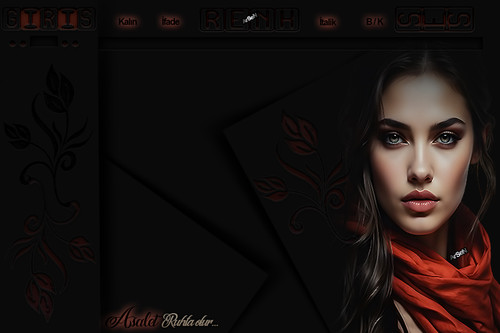 ArSeN ASALET BAYAN TEMA.jpg