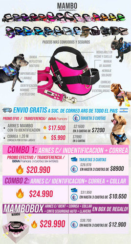 PRECIOS MAMBO ENERO.jpg