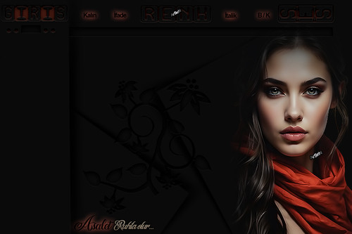 ArSeN ASALET BAYAN TEMA.jpg