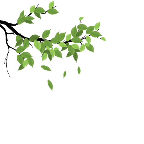 output onlinepngtools2.png