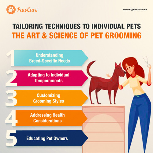 Tailoring Techniques to Individual Pets The Art and Science of Pet Grooming.jpg
