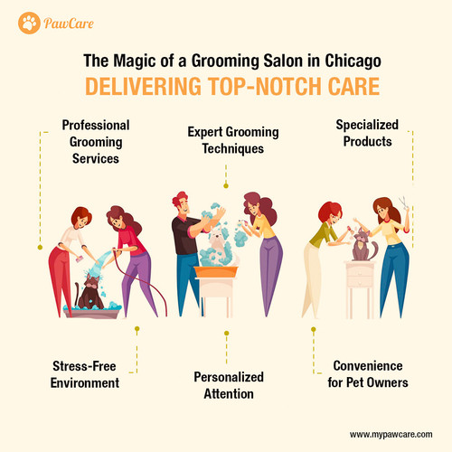 The Magic of a Grooming Salon in Chicago Delivering Top Notch Care.jpg