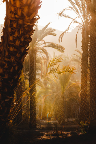 neom yVave4qIlh4 unsplash.jpg