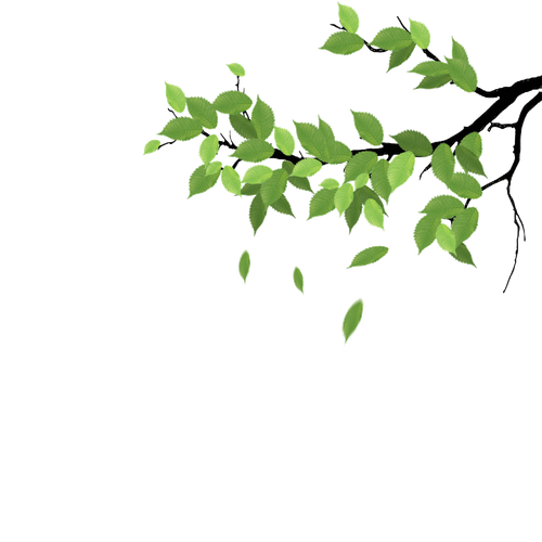 99358PICuyXUbfW6Rk541 PIC2018.png