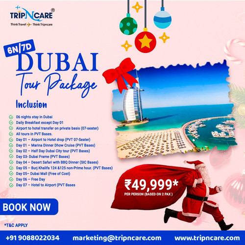 Explore the Beauty of Dubai With Tripncare Holiday Package.jpg
