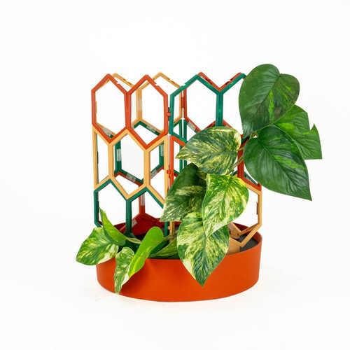 ST Trellis Tus Wood Frst 1.jpg