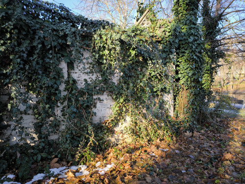 IMG 20230725 191500.jpg
