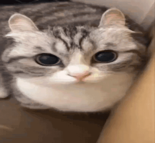 doc422845999 657001721?hash=mXLP3bwC9KOzMV030mgEOwOrWoAZLEWR4Ou2lJllO3z&dl=bynR6pX4hQZVqIobc7PzrOhDe.gif