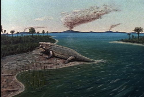 Wild America S01E01 All American Animals 001.png