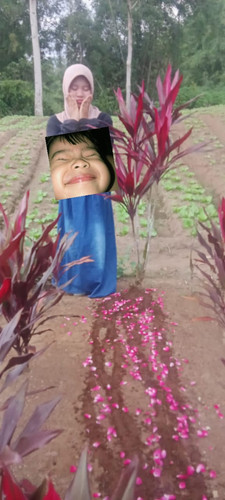 image.jpg