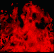 flames red.gif