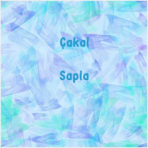 دانلود آهنگ جدید Çakal به نام Sapla