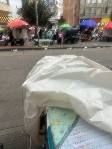 IMG 0005.jpg