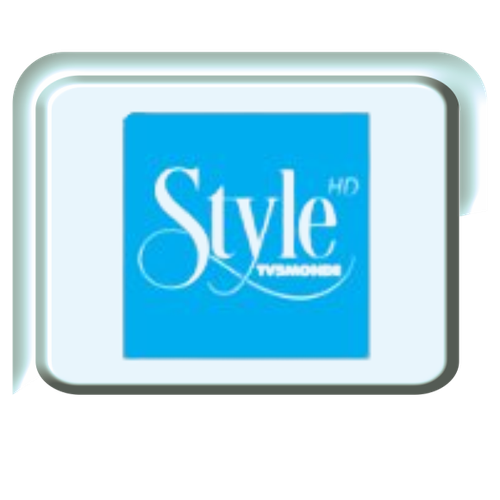 style tv5monde.png