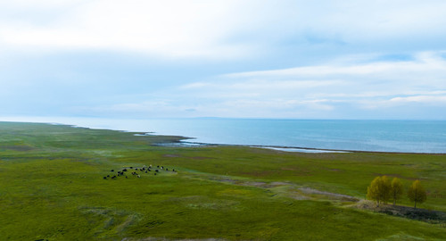 DJI 0202.jpg