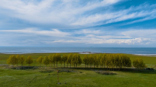 DJI 0182.jpg