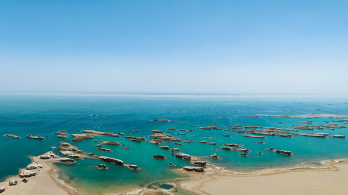 DJI 0517.jpg