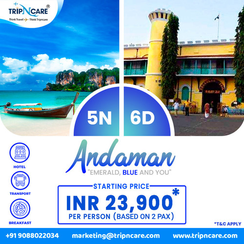Explore the Beauty of Andaman with Tripncare Holiday Package.jpg