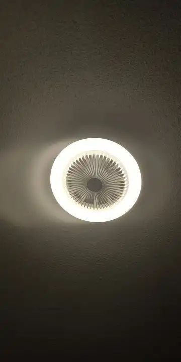 912it3wz9vi AXjIzumm17 10 23 2023 0350.jpg