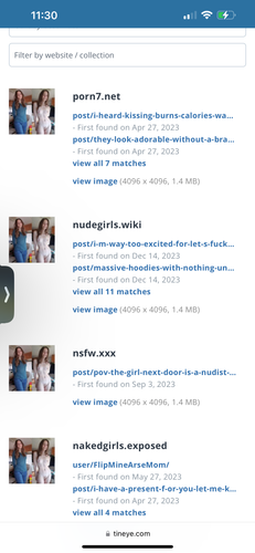 IMG 8439.png