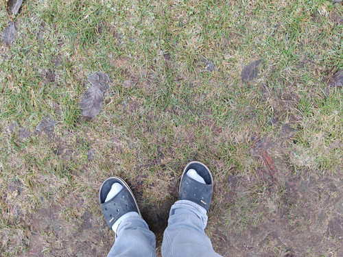 IMG 20231230 085840.jpg