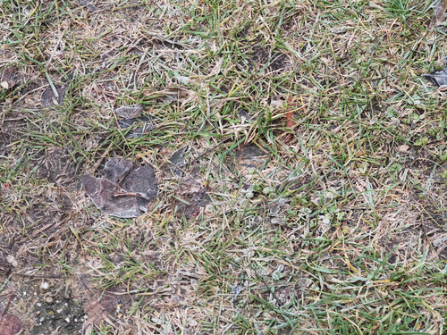 IMG 20231230 085831.jpg