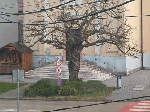 IMG 20231230 090544.jpg
