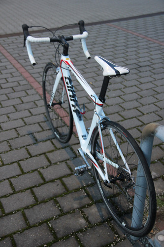 IMG 6401.jpg