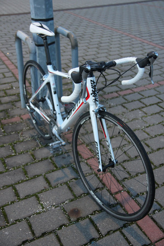 IMG 6396.jpg